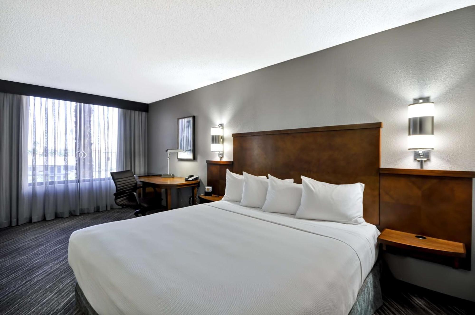 King Room with Roll-In Shower - Disability Access